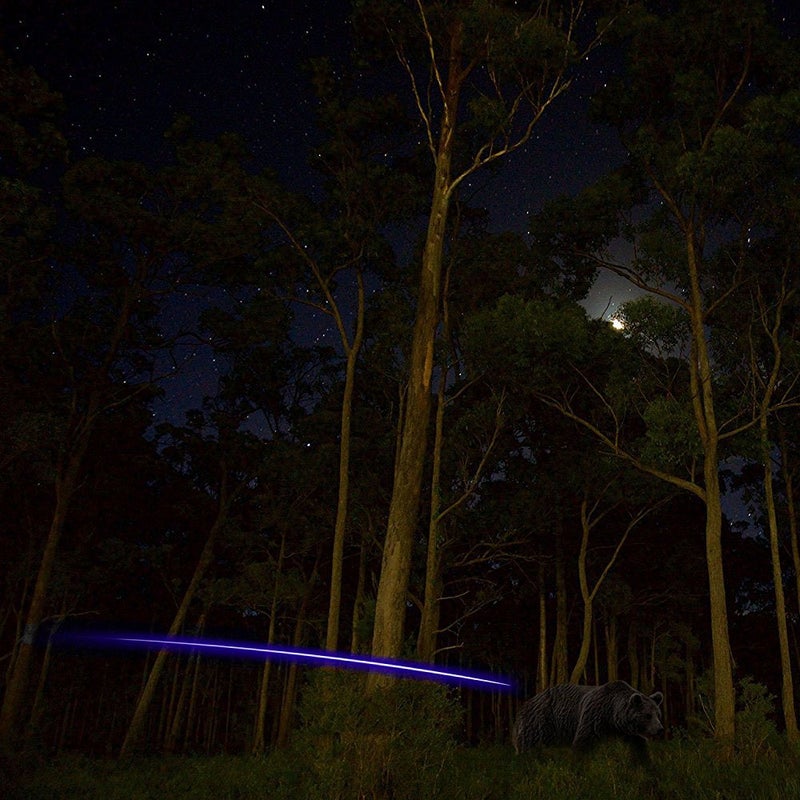 Reikawa S Lighted Nocks for Arrows with .244 Light up Knocks Turn on Automatically When Shoot Blue 6-Pack - Image 4
